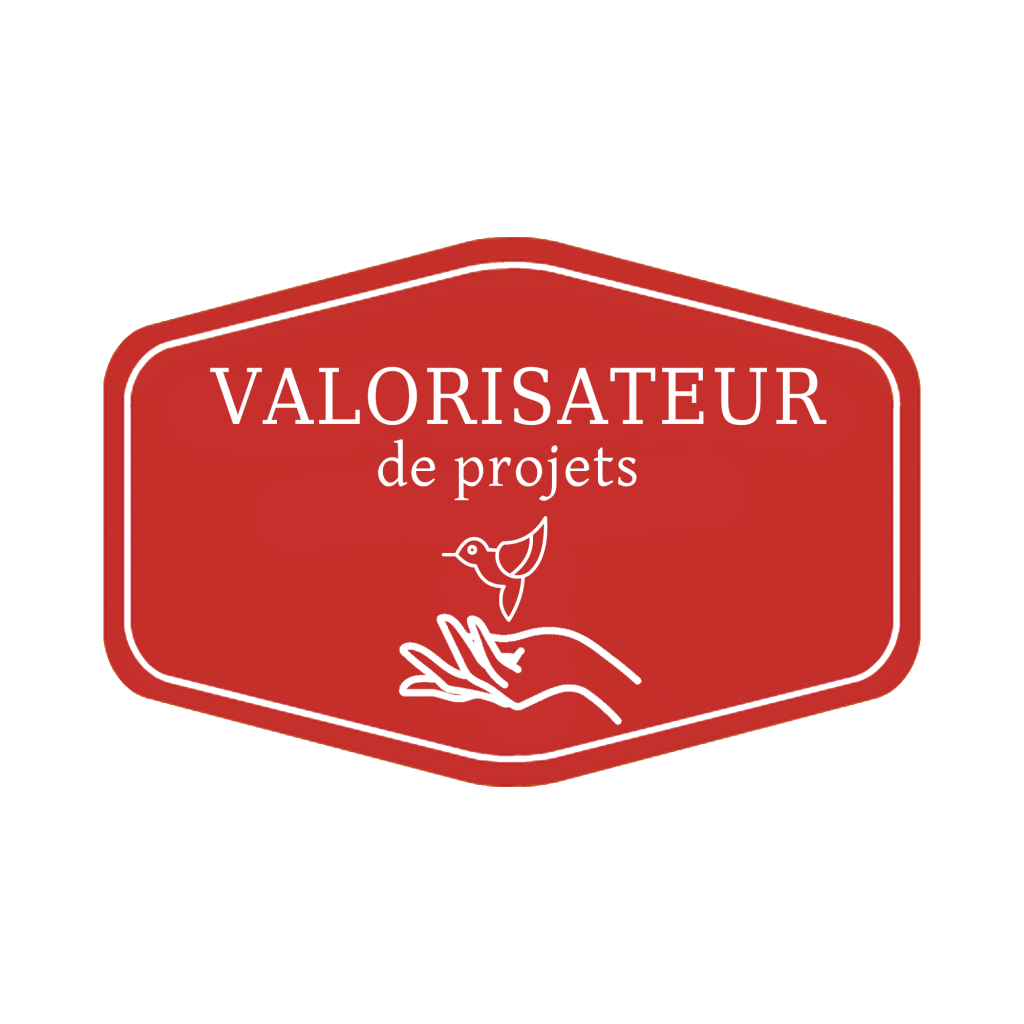 Badges Apprenant Agile Badges Apprenant Agile